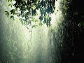 Neverwinter Nights OST - Heart of the Forest