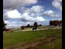 Dressage training 081004 Dressage training 081004