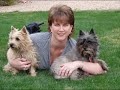 Put Your Arms Around Me - Col. Potter Cairn Rescue Network