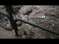 G?ucho?azy pow�d? 06.09.2007