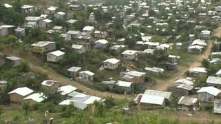 Bamboo: The wise man's timber