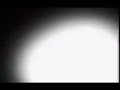 W.E.B. - Cockroach