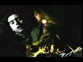 W.E.B. - Cockroach