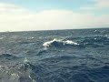 NAVIO TANQUE ALMIRANTE GAST�O MOTTA