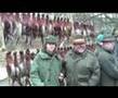 Polowanie bażanty - pheasant hunting in Poland