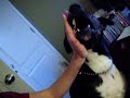 busterr