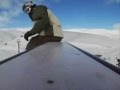 Shaun White snowboarding