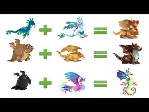 how to breed dragon city