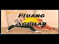 Yoga Budo - Huang C. Aguilar Budo Internacional Tai Chi Chuan Enciclopedia audiovisual Shaolin Vol 5