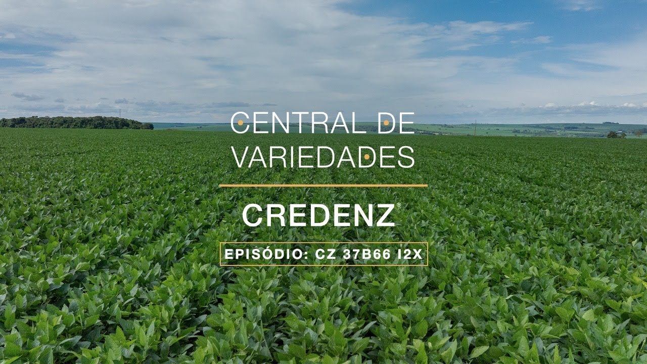 Central de Variedades Credenz® - CZ 37B66 I2X
