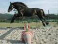 frison mon reve...