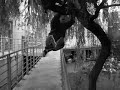 ?oso? Parkour Bydgoszcz