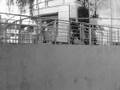 Łosoś Parkour Bydgoszcz
