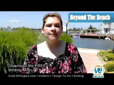 Beyond The Beach: August 2011 pt1