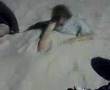 videos de Jerkin My Gerkin