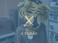 leão x tigre