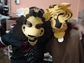 leão x tigre