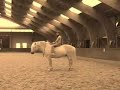 Training, Guusje & Jolanda Adelaar Training, Guusje & Jolanda Adelaar