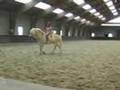 Training, Guusje & Jolanda Adelaar