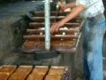 ORGANIC SUGAR FACTORY