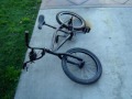 BMX BIke Cruise