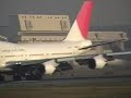 NARITA AIRPORT JAPAN AIRLINES 桜の山