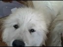 Dylan and Aspen