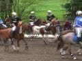 St priest horse ball