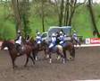 St priest horse ball