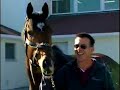 Barbaro walking - When exepected to leave hospital in 2007 Barbaro walking - When exepected to leave hospital in 2007