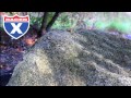 Justin Cooper video 2