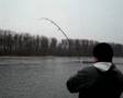 Wels 3.01.2008