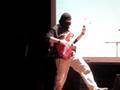 videos de Pecks II