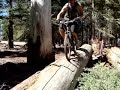 Log ride at snow summit