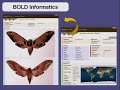 International Barcode of Life: creating a searchable index of every species o...