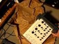 Tom Oberheim SEM - Synthesizer Expander Modul - Patchpanel Version - New - Just Arrived