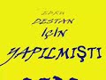 EBRU DESTAN