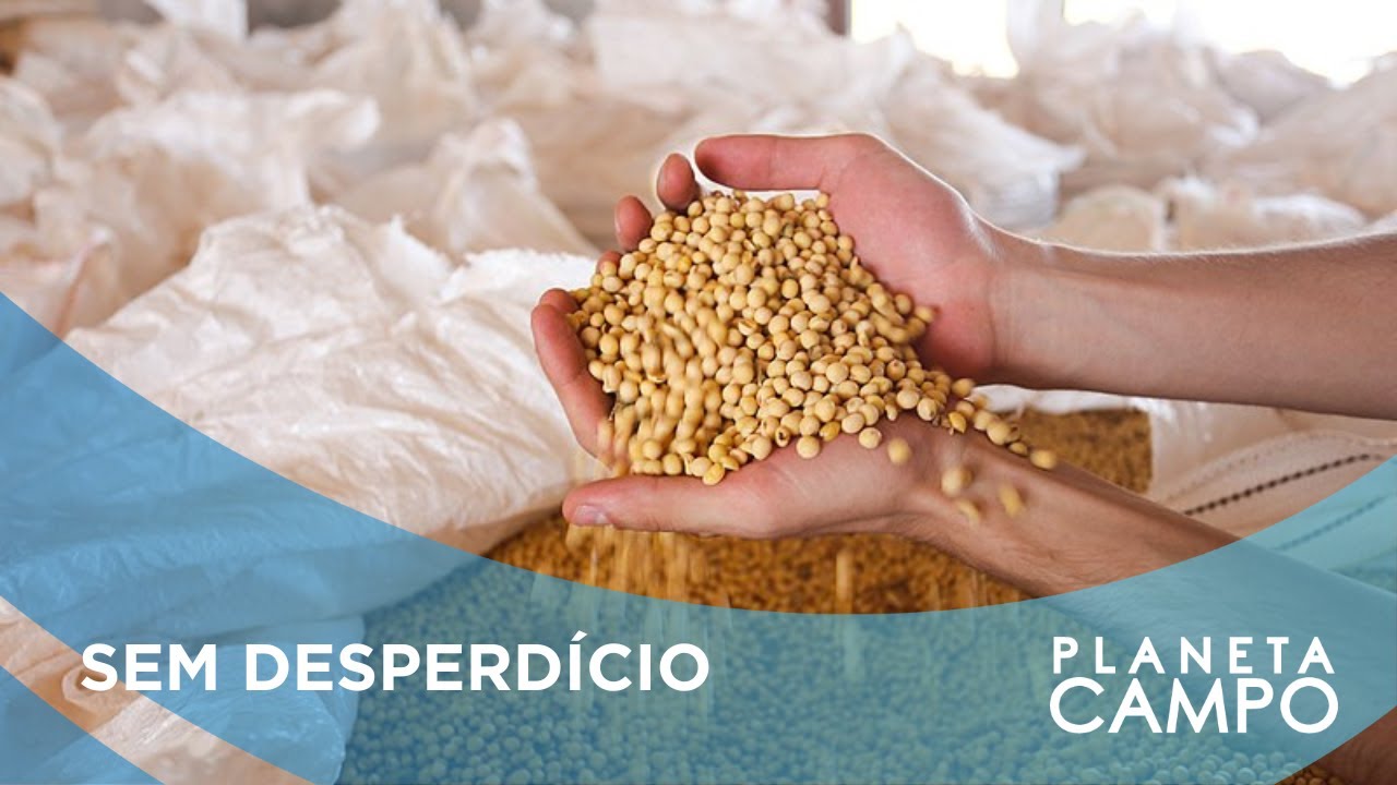 Fungicidas na dose certa: IA garante precisão no manejo da soja