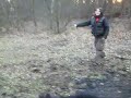 Beauceron UO