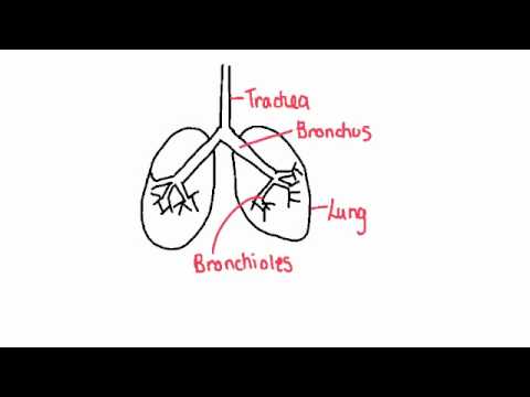 how to draw system diagram