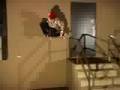 Davis Torgerson - Boondoggle DVDs FOR SALE!