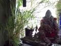 Sound Healing...Sending Love & Light to My Four Children...Jenny, Jeromy, Jerod and Joshua