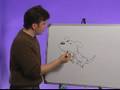 How to Draw Cartoon Animals : How to Draw Anthropomorphic Dogs & Cats