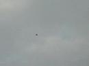 P-61 BlackWidow