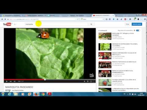 Imatge de previsualització de YouTube