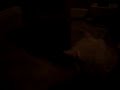 achilles-leads-the-myrmidons.html