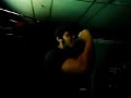 Black Vanadium-creeping death