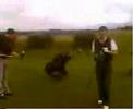 Strange Golf Stroke Joe