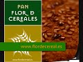 Pan Biológico Flor de Cereales