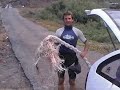 La Depu 1.1